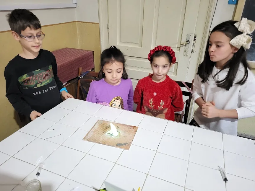 Activitate la cercul Chimie experimentală